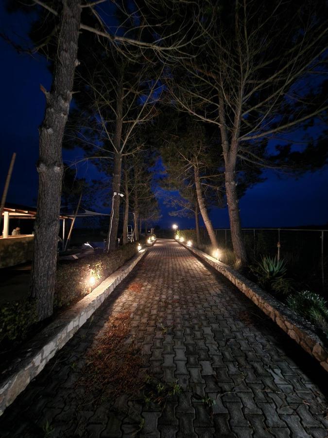 Apartment Alexandra 2 Lefkimmi (Corfu)