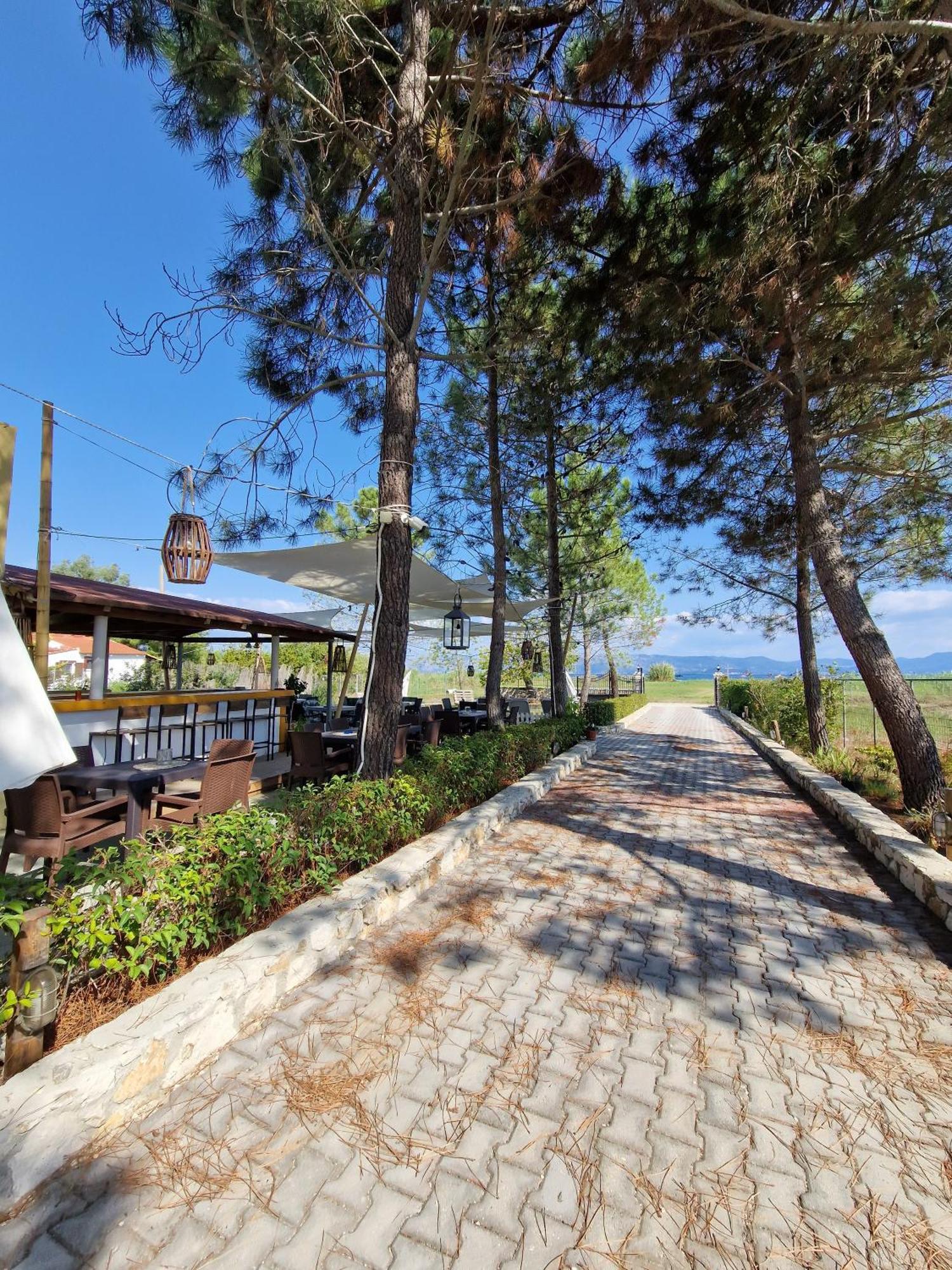 Alexandra 2 Apartment Lefkimmi (Corfu)
